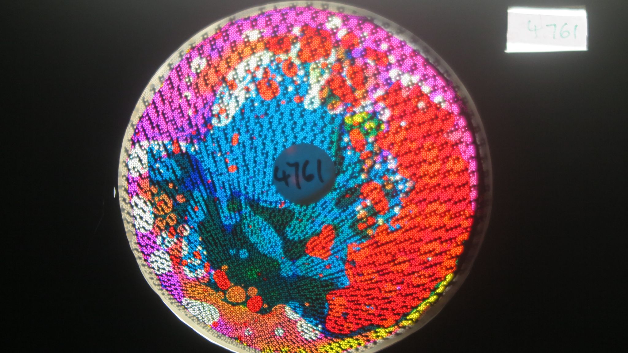 BV4761 bubble vision oil wheel